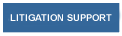 Litigation Support